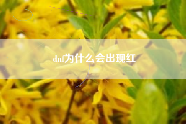 dnf为什么会出现红