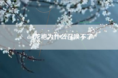 dnf龙袍为什么召唤不了