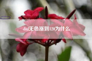 dnf无色涨到120为什么