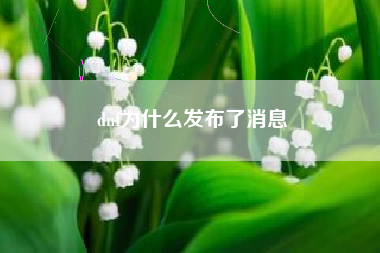 dnf为什么发布了消息