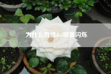 为什么直播dnf屏幕闪烁