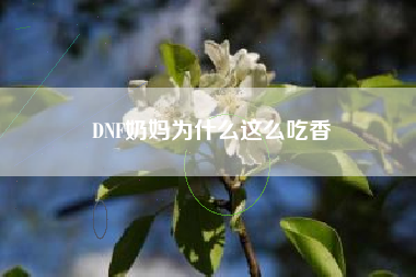DNF奶妈为什么这么吃香
