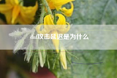 dnf攻击延迟是为什么