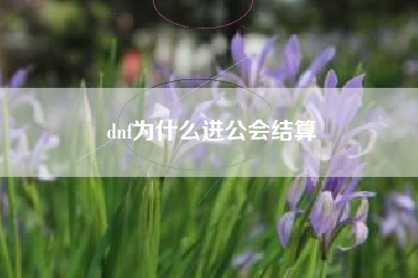 dnf为什么进公会结算