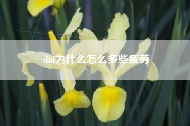 dnf为什么怎么多些疲劳