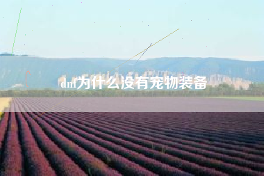 dnf为什么没有宠物装备