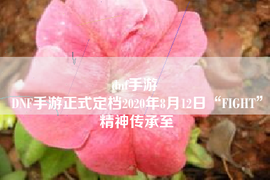 dnf手游 
DNF手游正式定档2020年8月12日“FIGHT”精神传承至