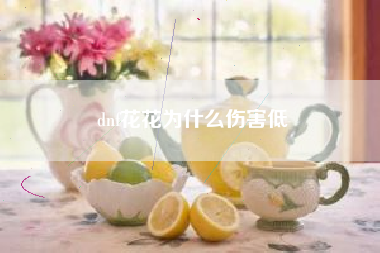 dnf花花为什么伤害低