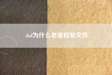 dnf为什么老是检验文件