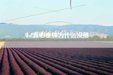 dnf真心金牌为什么没用