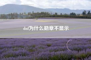 dnf为什么勋章不显示