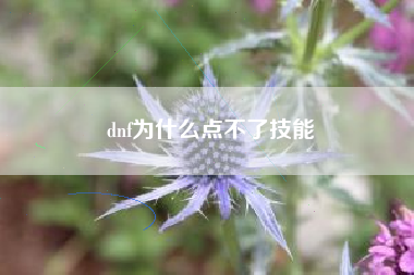 dnf为什么点不了技能