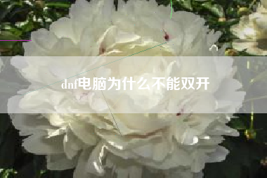 dnf电脑为什么不能双开