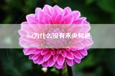 dnf为什么没有未央频道