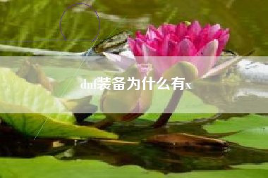 dnf装备为什么有x
