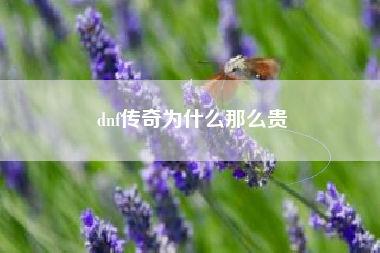 dnf传奇为什么那么贵