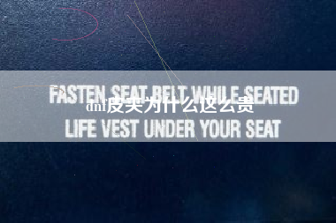dnf皮夹为什么这么贵