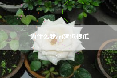 为什么我dnf延迟很低