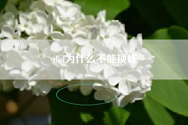 dnf为什么不能换线