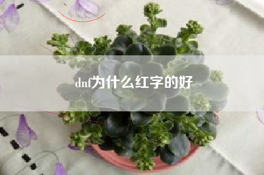 dnf为什么红字的好