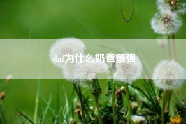 dnf为什么奶爸最强