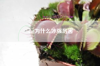 dnf为什么冰强厉害