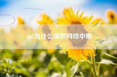 dnf为什么突然网络中断