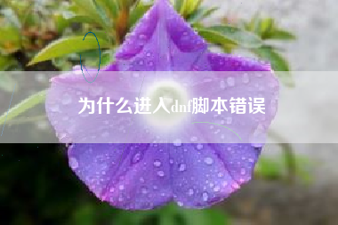 为什么进入dnf脚本错误
