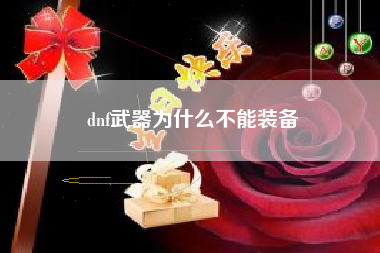 dnf武器为什么不能装备