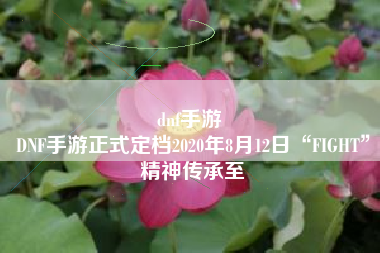 dnf手游 
DNF手游正式定档2020年8月12日“FIGHT”精神传承至