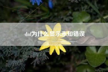 dnf为什么显示未知错误