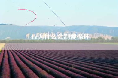 dnf为什么会制裁循环
