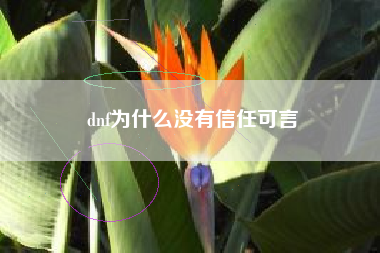 dnf为什么没有信任可言