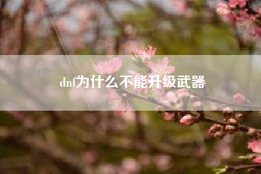 dnf为什么不能升级武器