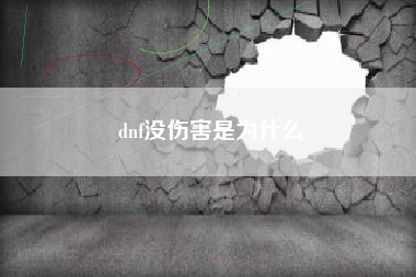 dnf没伤害是为什么