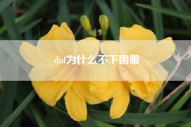 dnf为什么不下国服