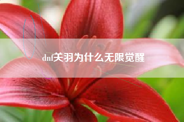 dnf关羽为什么无限觉醒