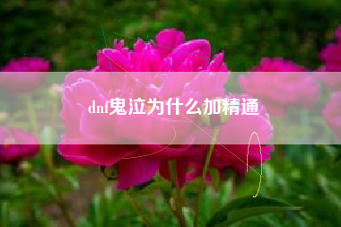 dnf鬼泣为什么加精通