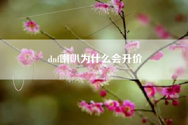 dnf喇叭为什么会升价
