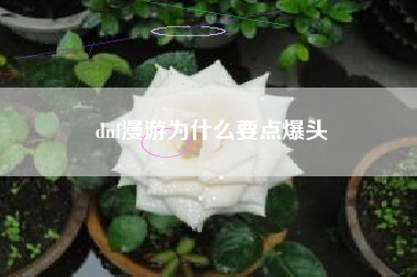 dnf漫游为什么要点爆头