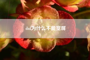 dnf为什么不能宽屏