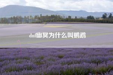dnf幽冥为什么叫鹦鹉