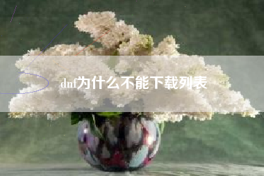 dnf为什么不能下载列表