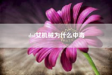 dnf女机械为什么中毒