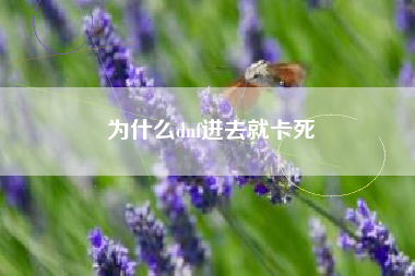 为什么dnf进去就卡死