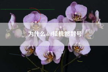 为什么dnf挂机都封号