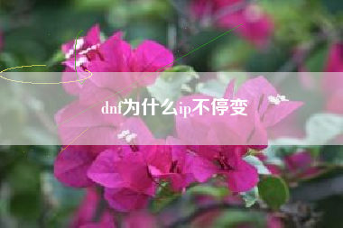 dnf为什么ip不停变