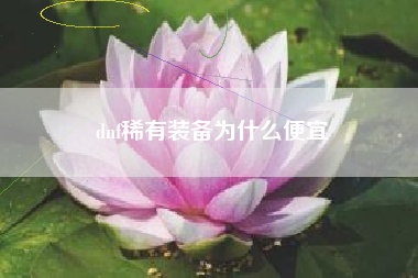 dnf稀有装备为什么便宜