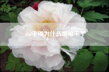dnf手镯为什么增幅不了