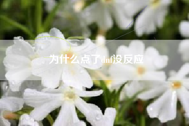 为什么点了dnf没反应